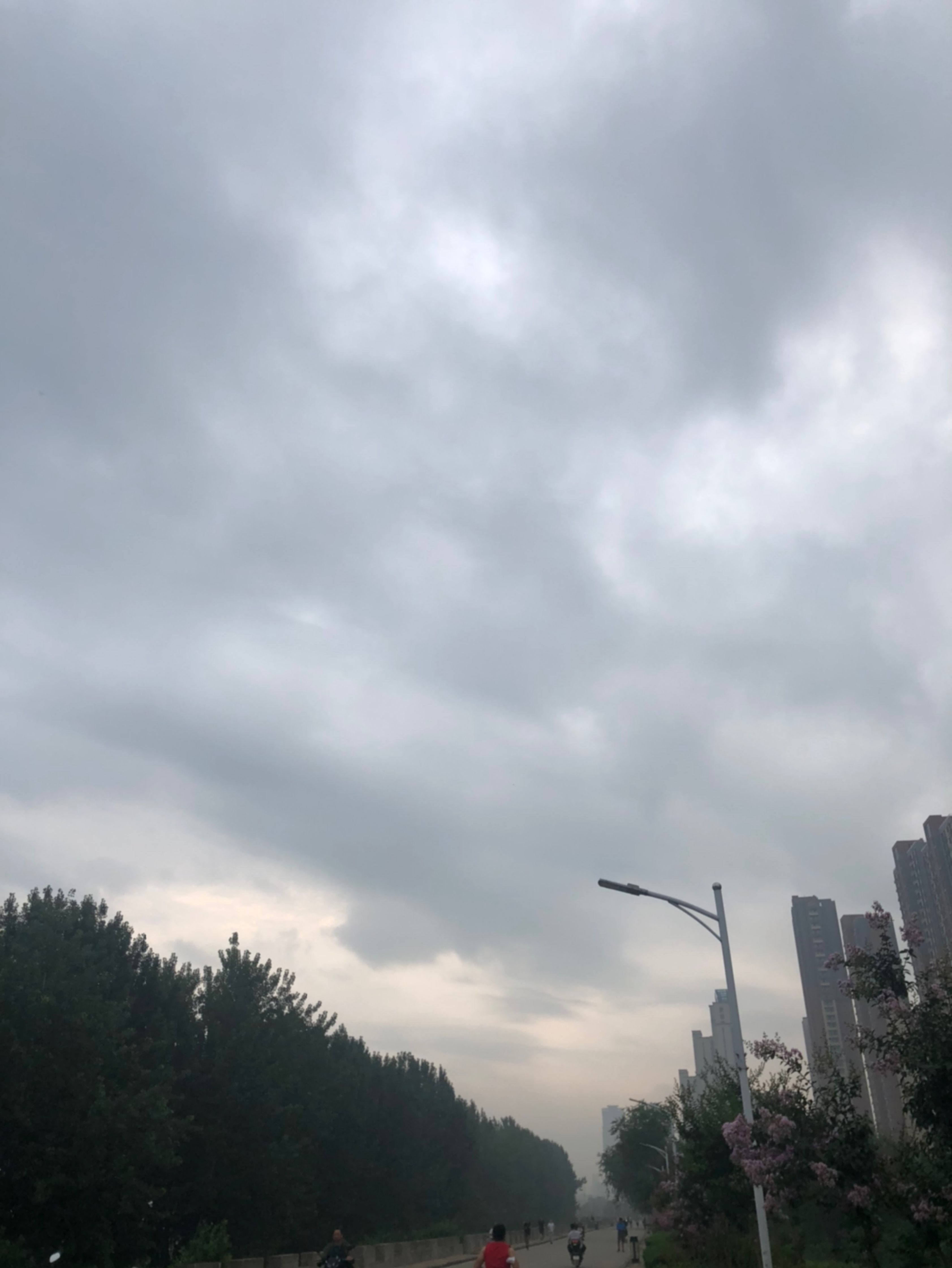 天气闷热,大雨将至,不宜晨跑,鉴定完毕!