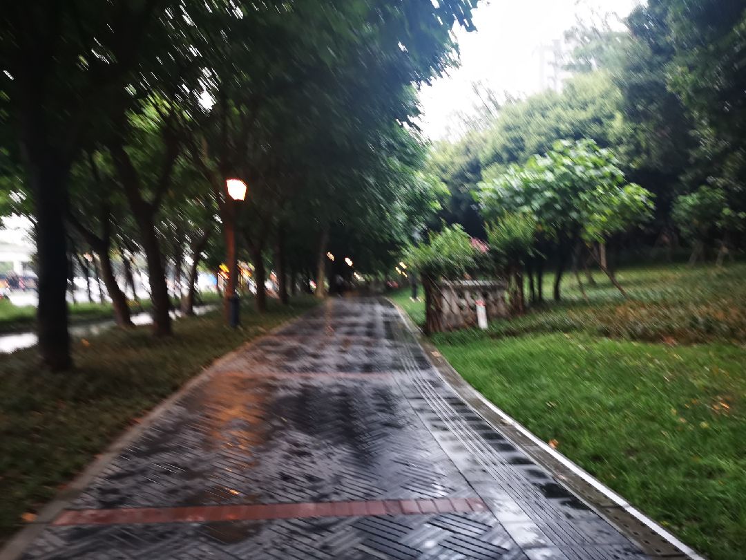 雨中的跑步加油!