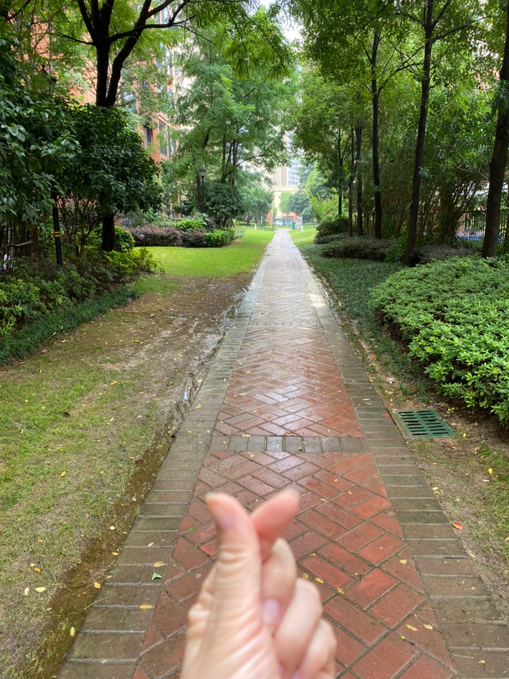 天上依然下着小雨,感觉自己也是一个乘风破浪的小姐姐