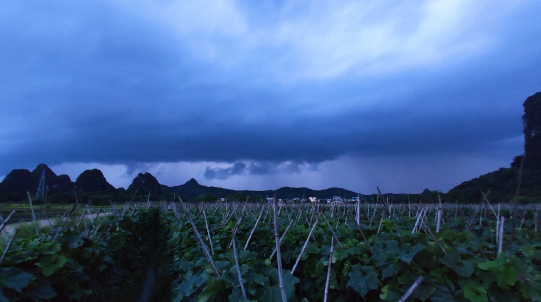 山雨欲来风满楼