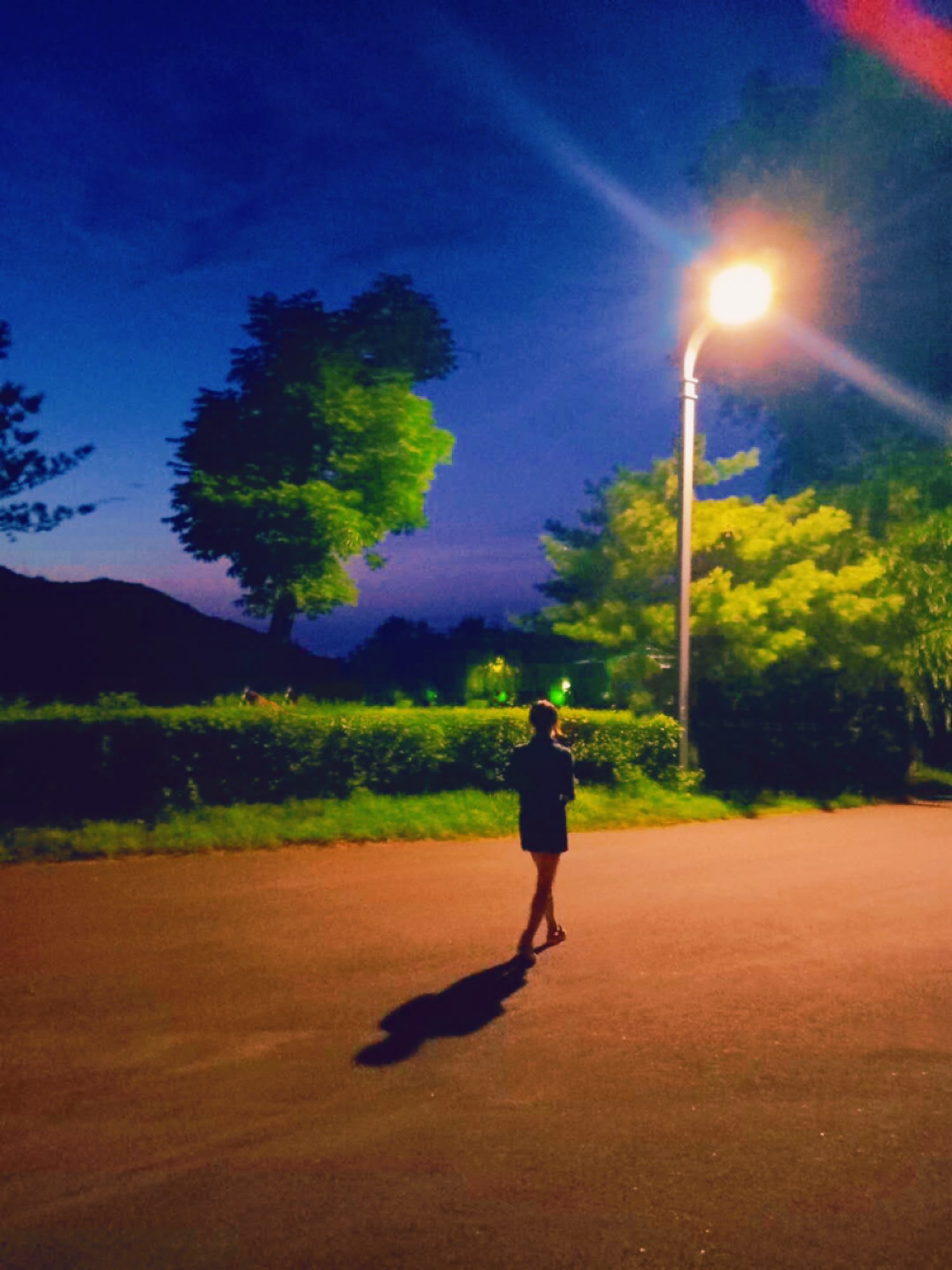 路灯下的风景也很美