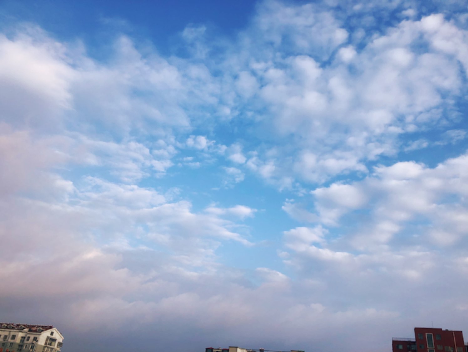 雨过天晴快七点了太阳又有5.3的配速出来了小丸子今天