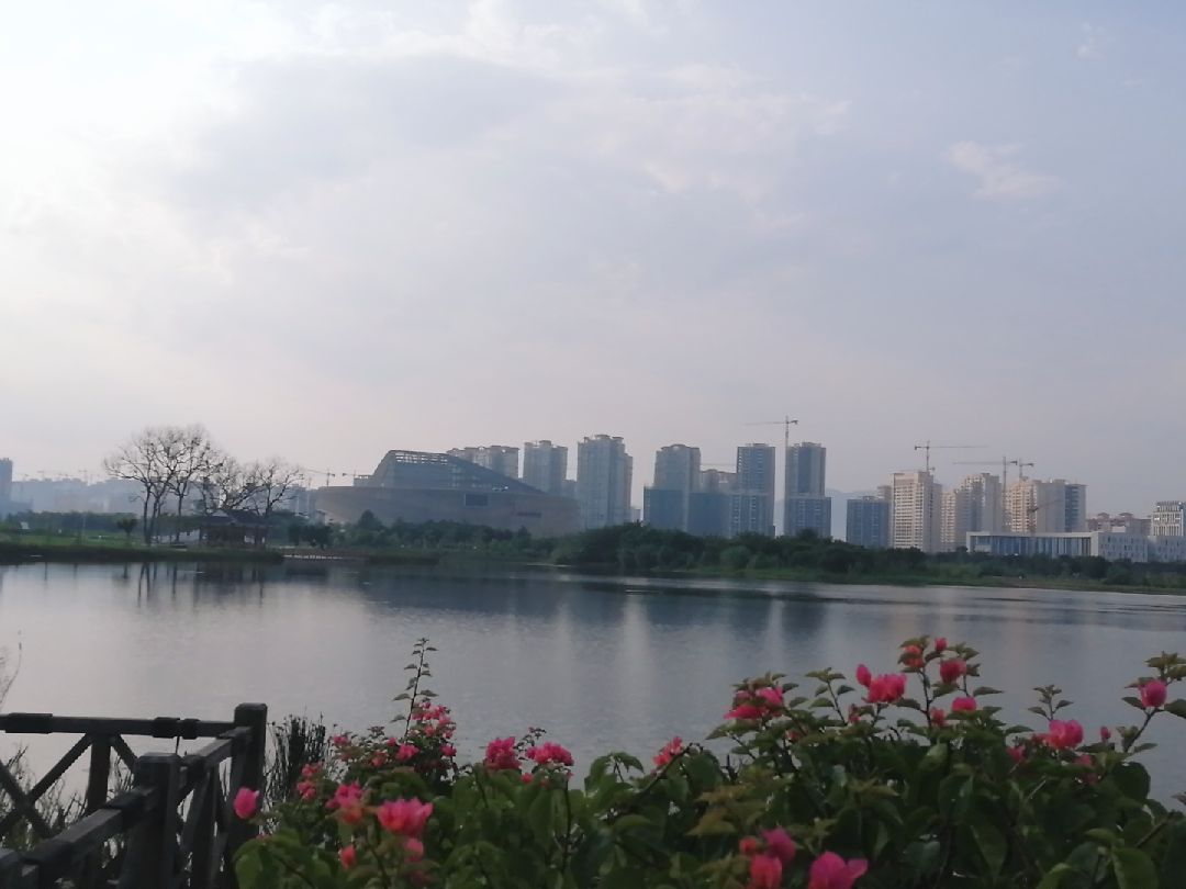 爱莲湖一圈,纪念青秀山10公里起步跑,感恩遇见