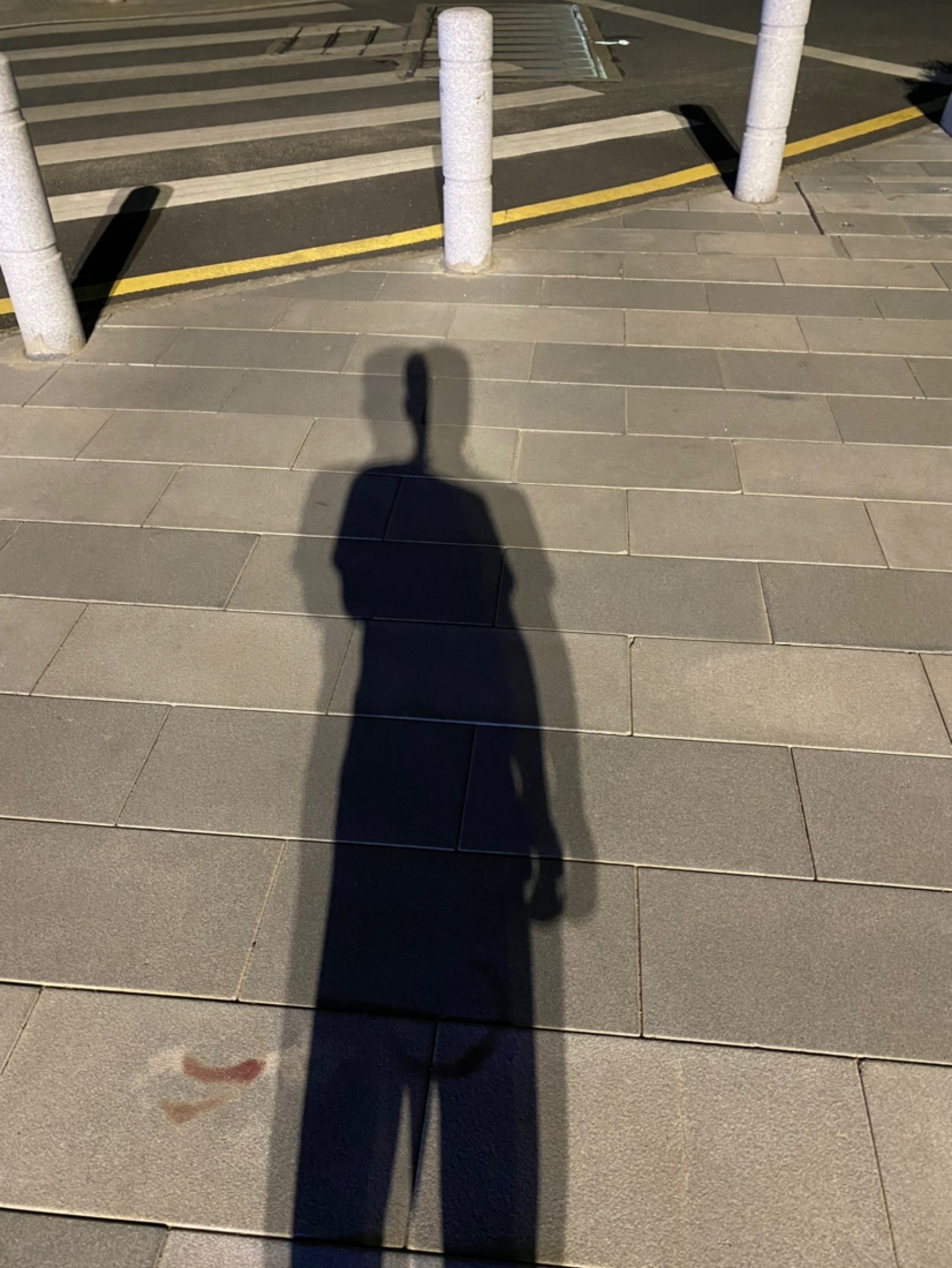 月光下的影子