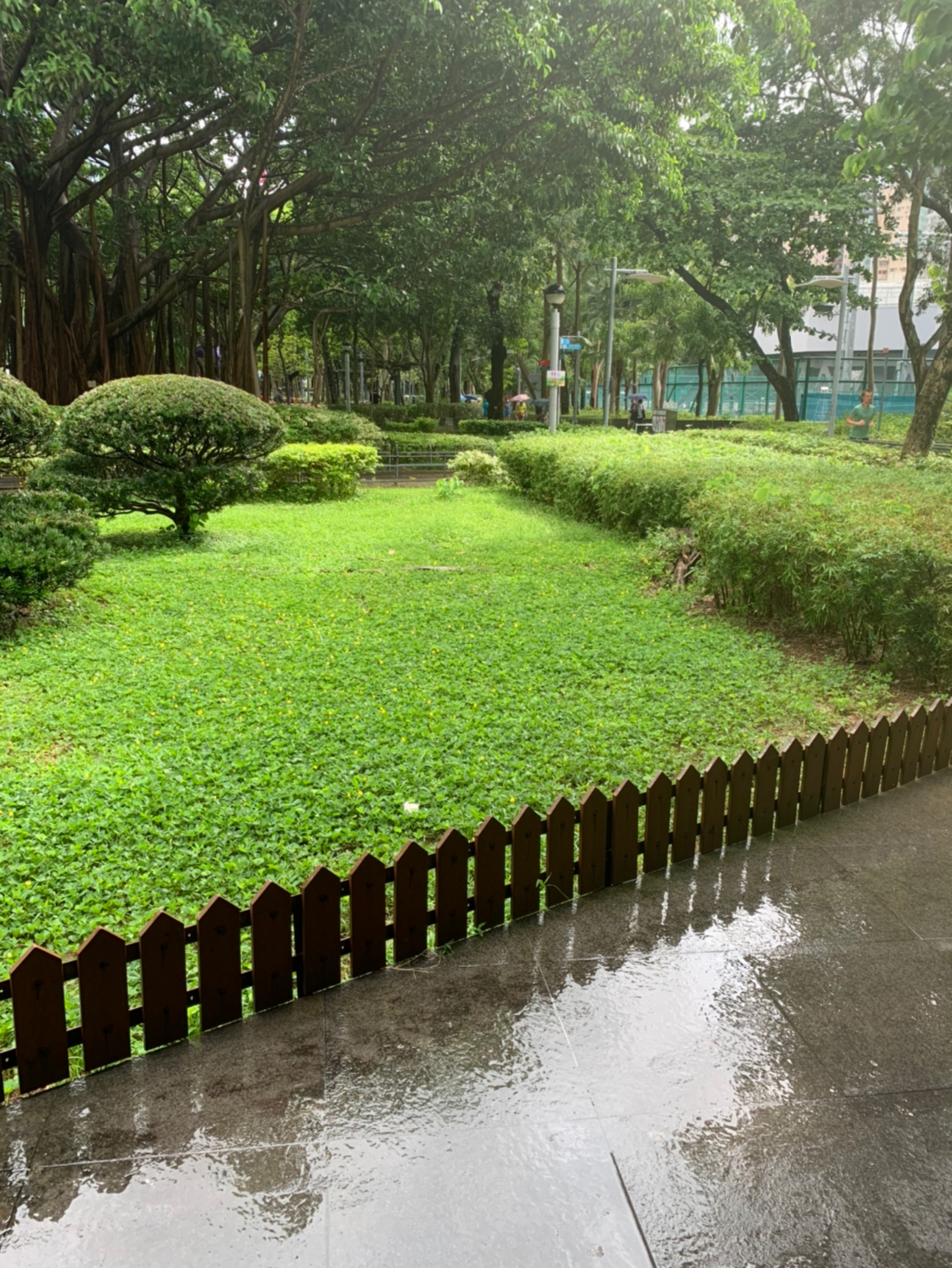 下大雨落汤鸡没完成5公里