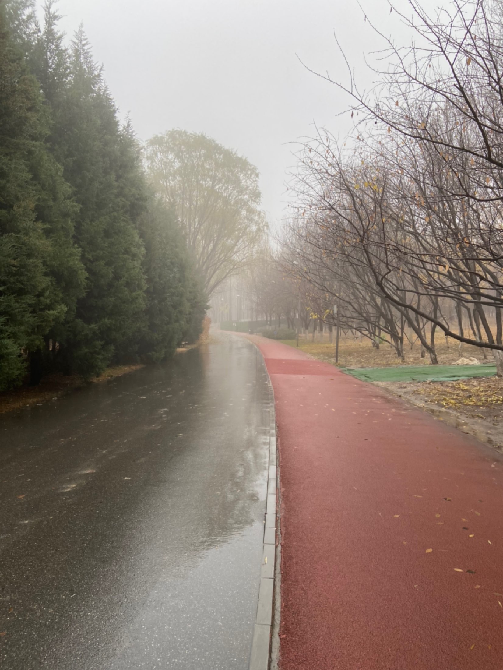 一个人静静的走在雨中,听着喜马拉雅的精彩忘记了时间的存在,很享受这