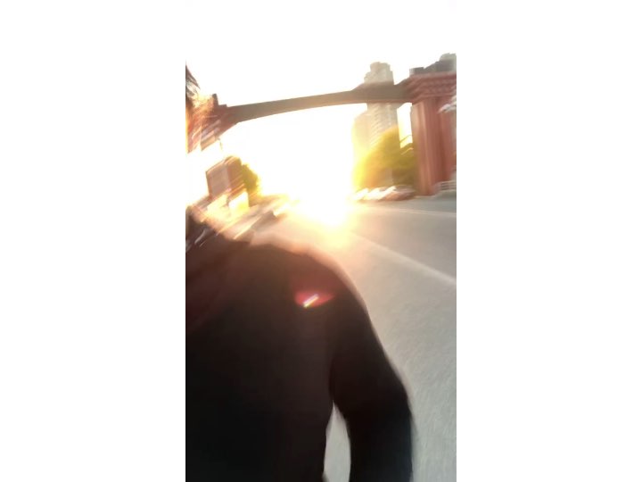 迎着朝阳奔跑