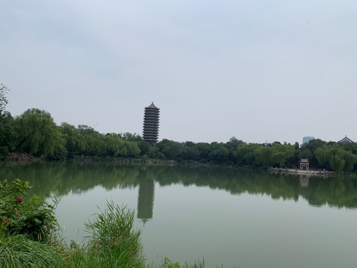 今日未名湖