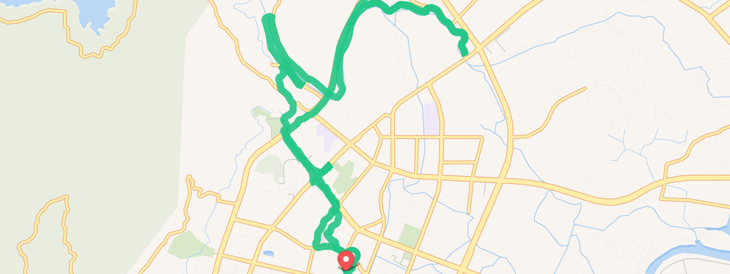 金黄的银杏叶悠然飘落,一地金黄一地浪漫,如果没有去过北方的南方人是