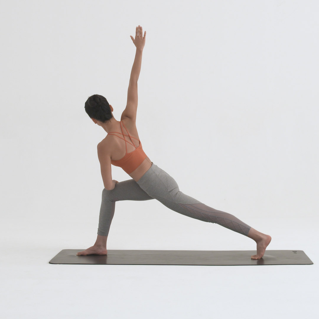 右侧侧角扭转式变体