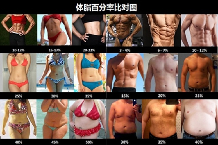 率 男性 理想 体 脂肪 これが体脂肪率30％～7%の腹筋、写真でみる体脂肪率別の男性シックスパック
