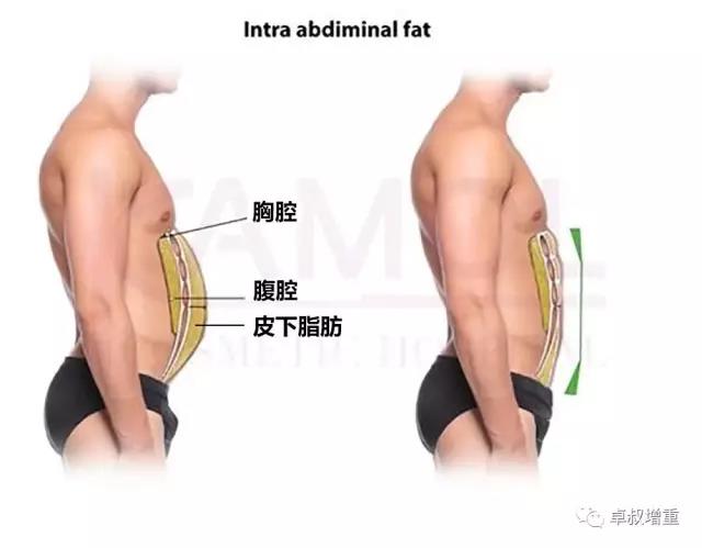 如何在增肌期练出八块腹肌 Keep