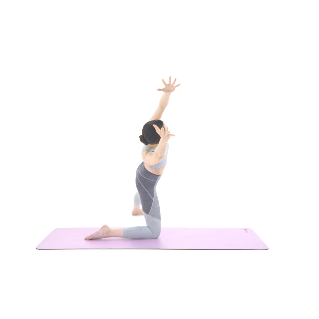 左侧风帆式变体