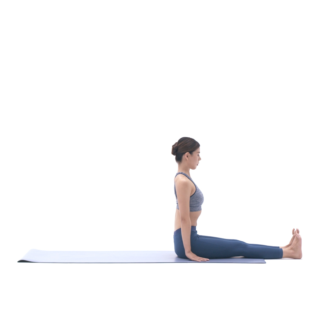 dandasana 手杖式