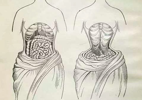 一穿立显水蛇腰的束腰究竟好不好?