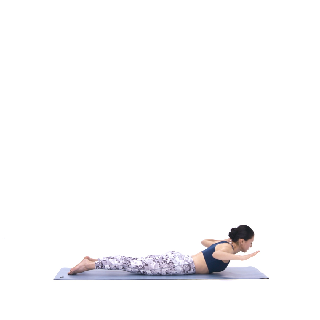 动态俯卧展臂式