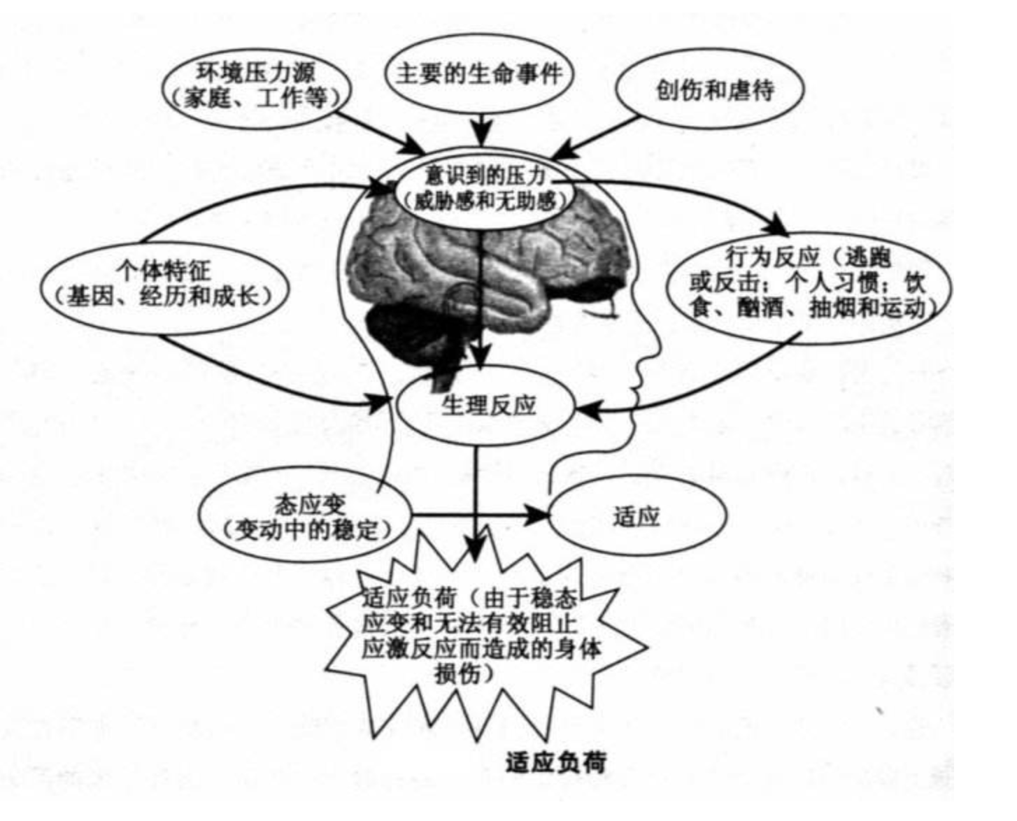 暴饮暴食如何改善和补救 个人经验分享 Keep