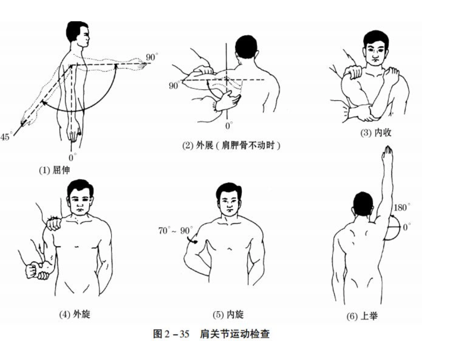 翼状肩甲怎么矫正 不复杂 进来看 Keep