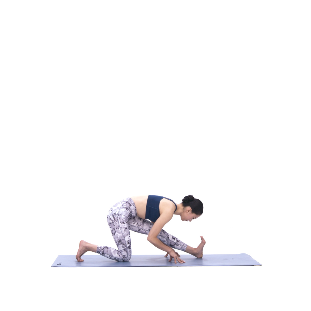 左侧骑马和简易半神猴式