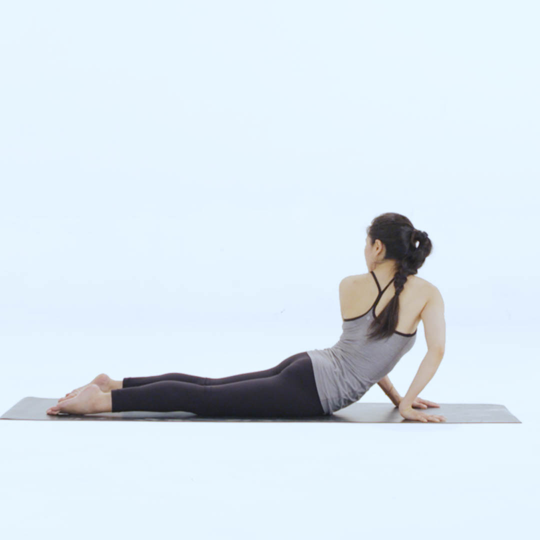 简易眼镜蛇扭转序列_keep