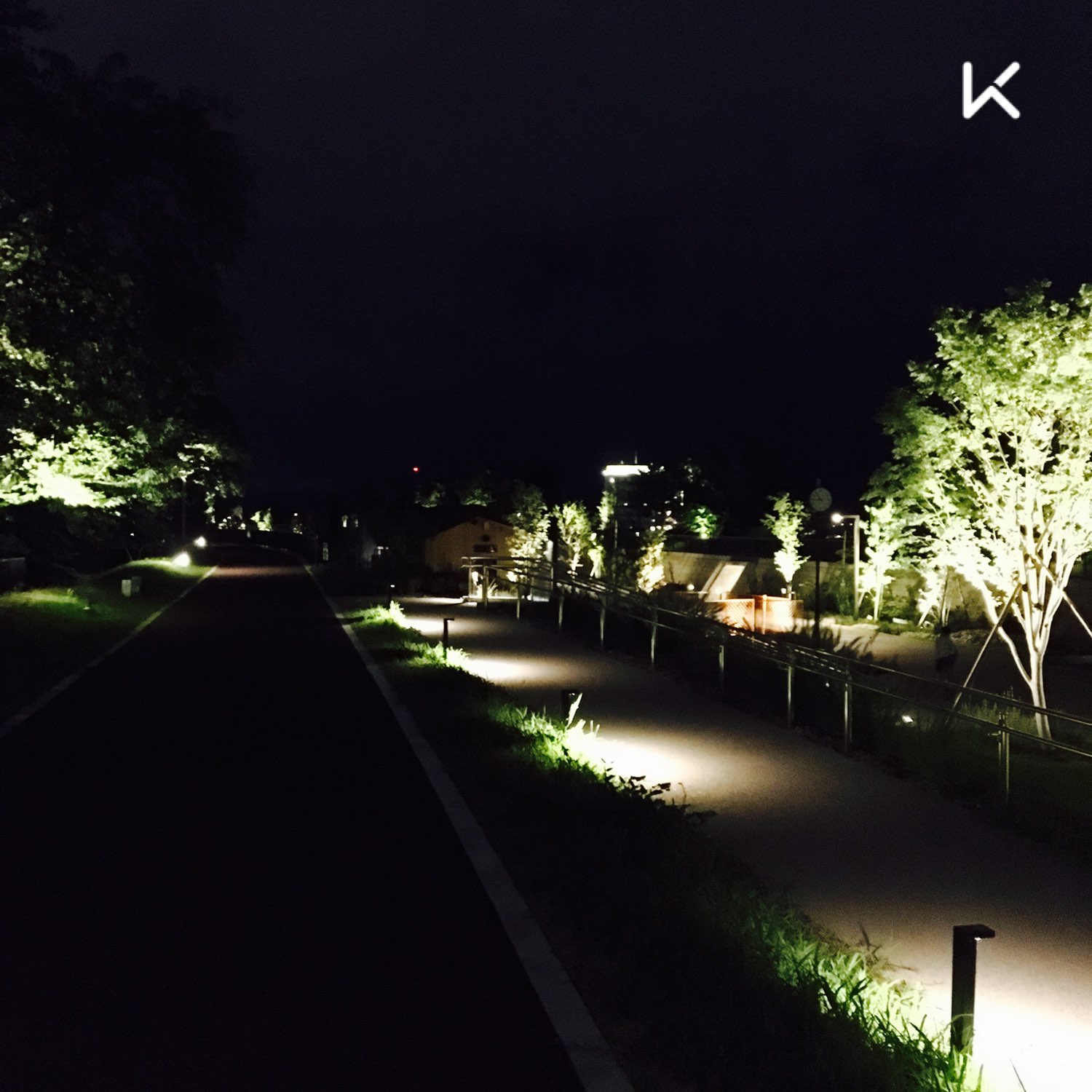 跑步夜景图片图片