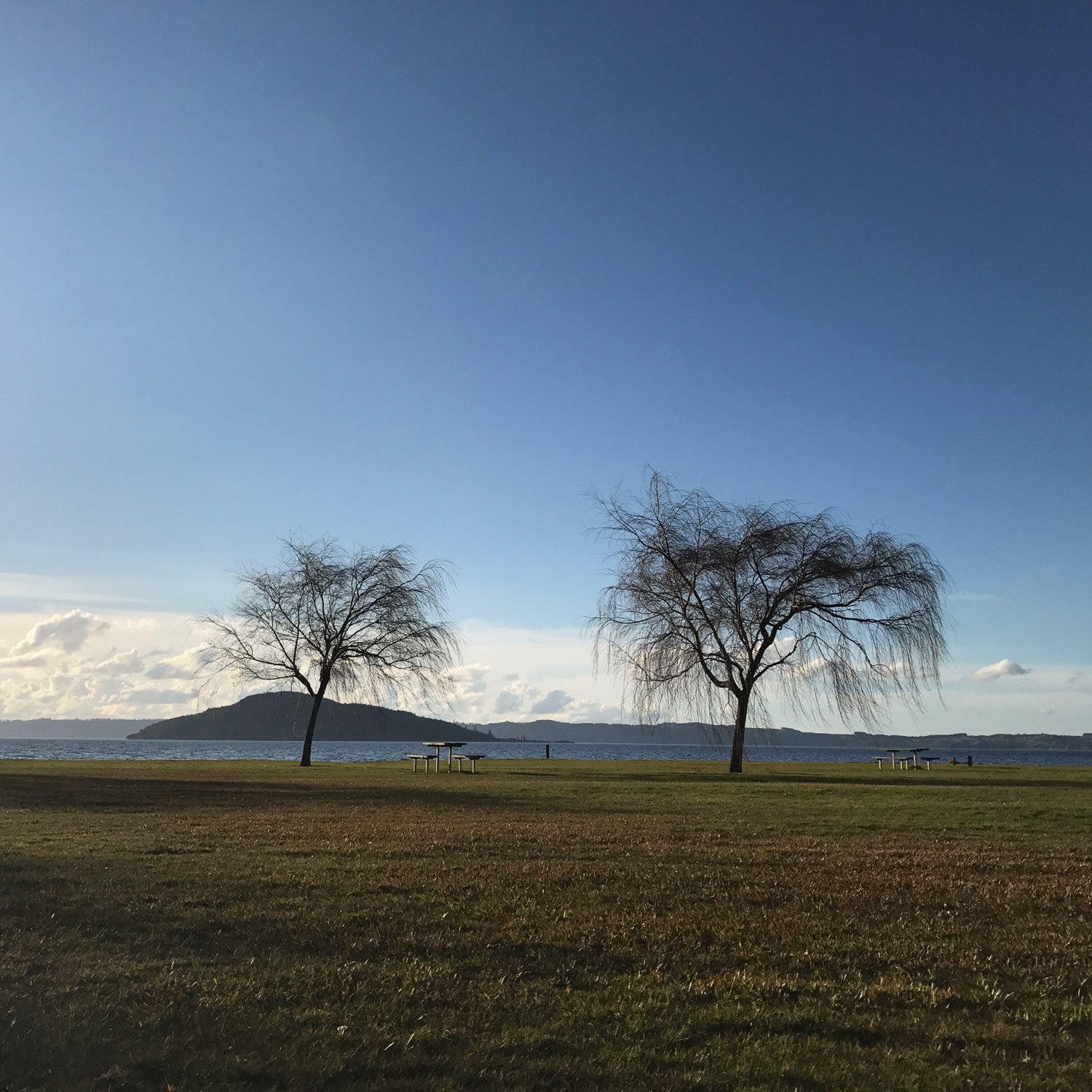 the most beautiful day in the coldest winter