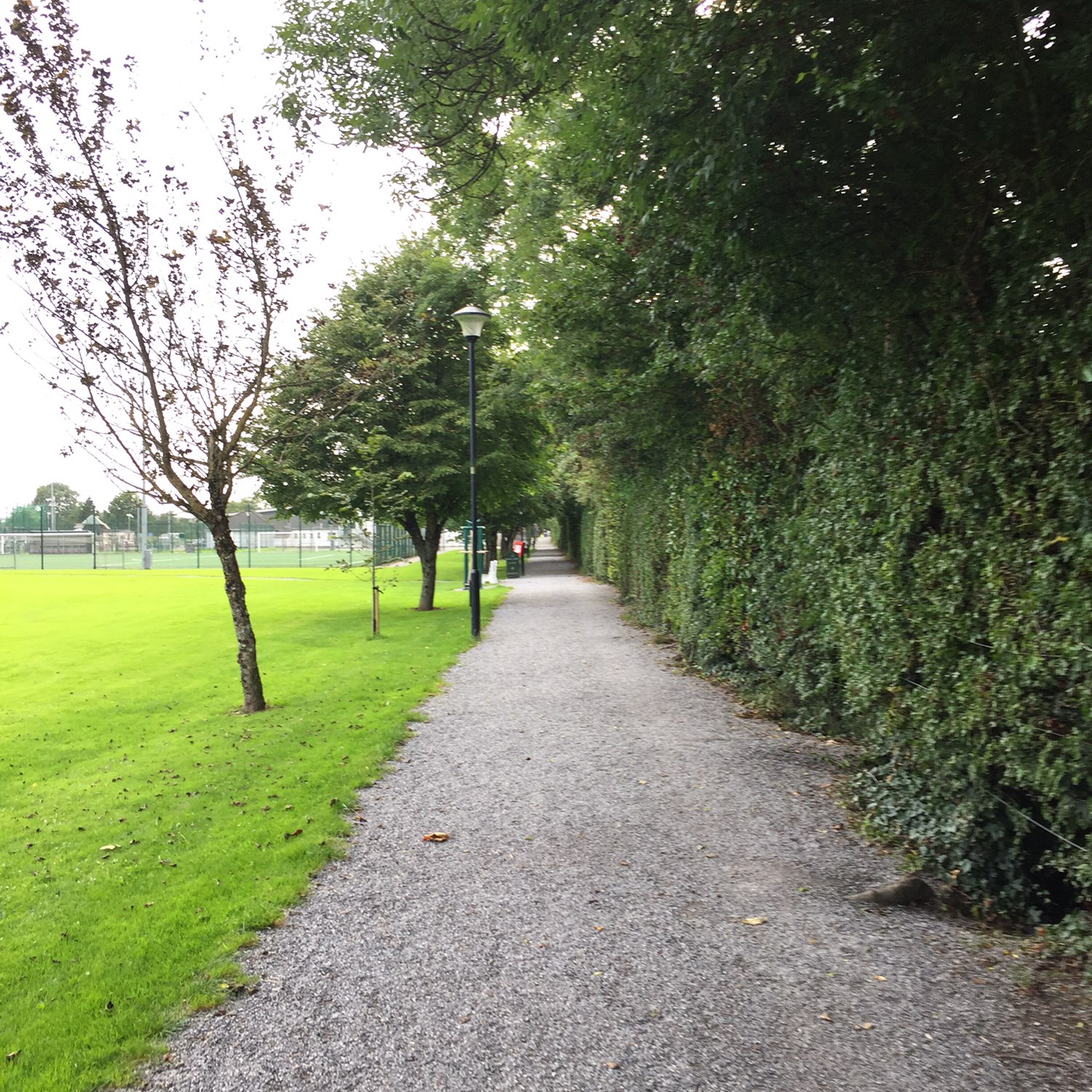 爱尔兰的公园很漂亮,但石子路着实让人跑步有点不爽😕出发的时候遇