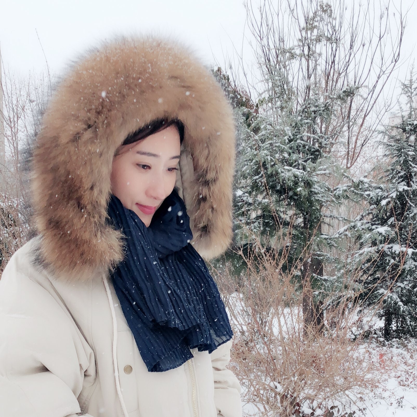 下雪了,应个景吧