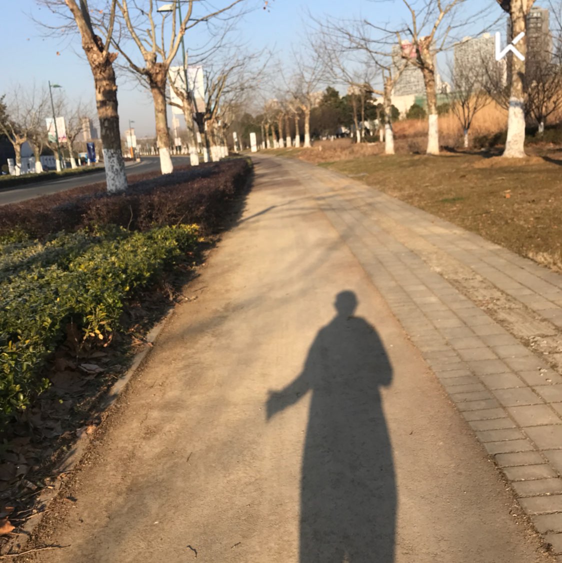 放慢脚步,找回自我.swlt