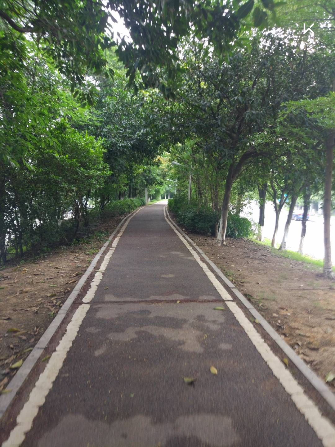 加油,夜跑开始!