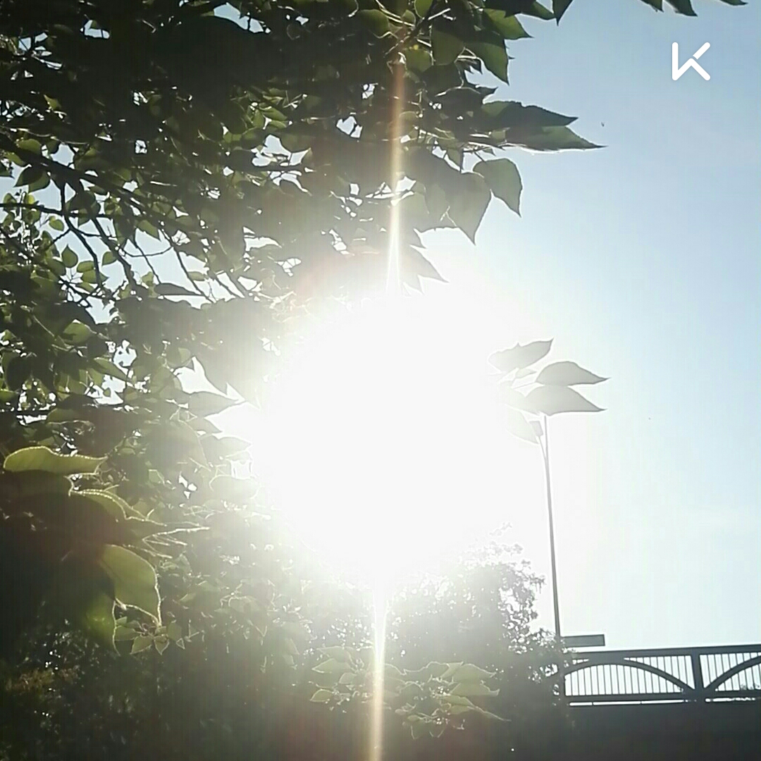 火辣辣的太阳 夏天图片