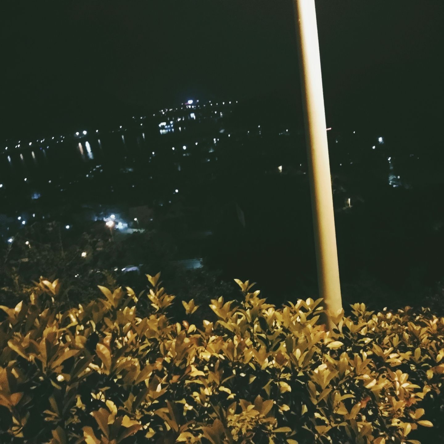 深更半夜的山上确实有点黑人