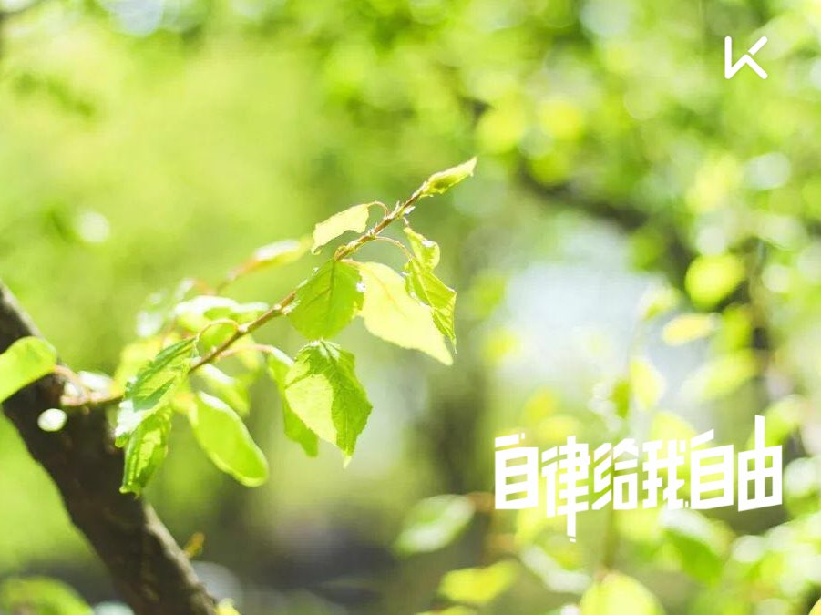 所以,我们应该在阳光下灿烂,风雨中奔跑,对自己说一声:昨天挺好,今天