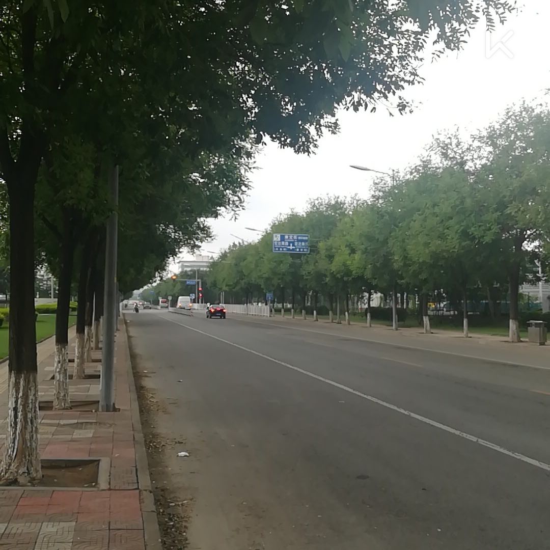 第61,阴天才是好天气!