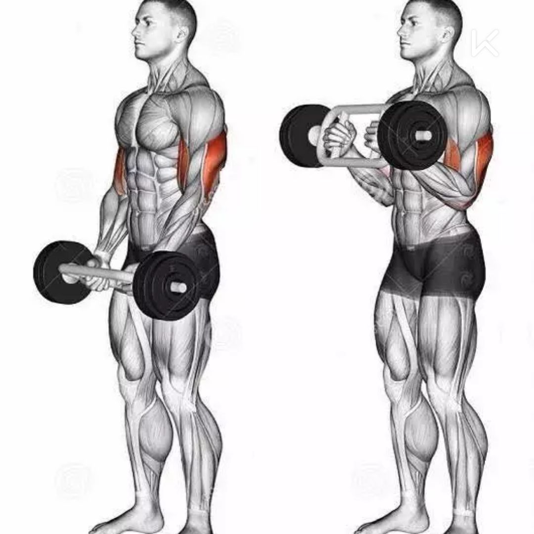 早晨练一练,精神一整天 立即参与  完成 hiit核心刺激进阶 第1次