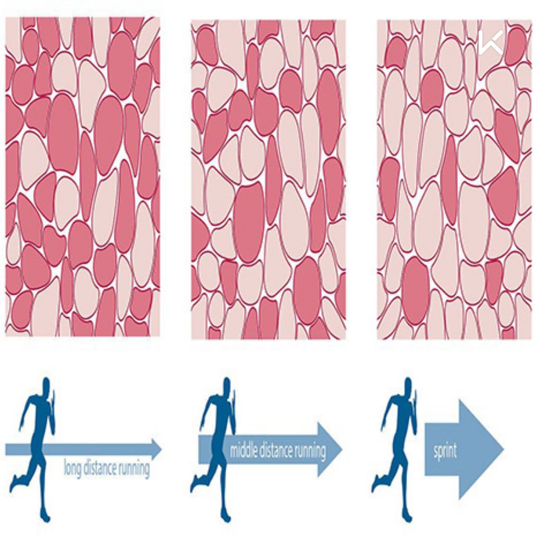 答案就在图一,全看你怎么跑_keep