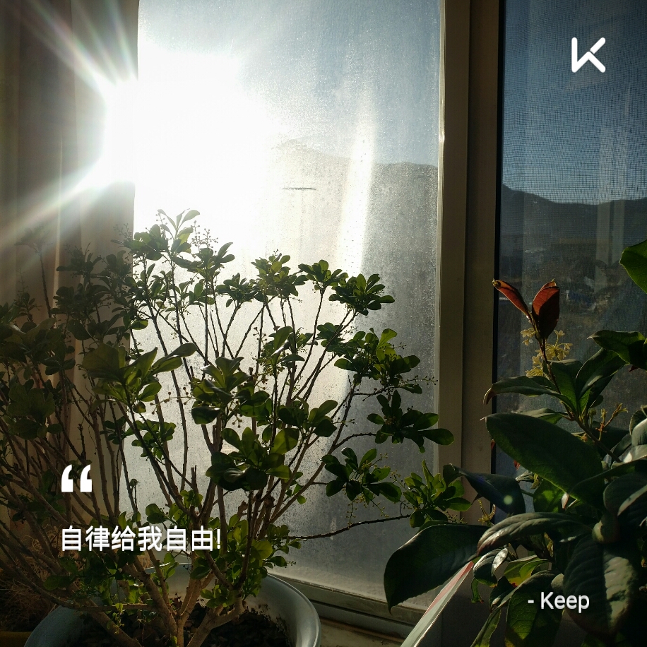 好早就起床了,一直等阳光出来才开始练收工,上班.晚上有时间再继续