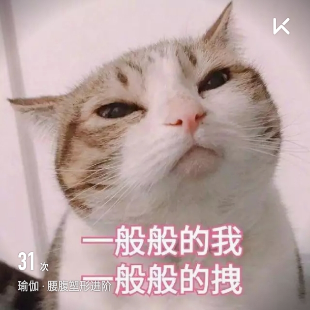 减一斤肉跟玩命似的～长一斤肉跟玩似的～  #瑜伽    腰腹塑形进阶