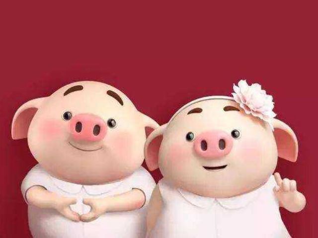 今天也是一对儿幸福的猪猪 立即参与  完成 阿斯汤伽一级    全序列