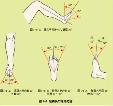 足背屈(勾脚)35度_keep