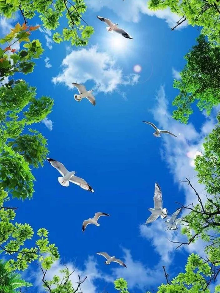 12分钟热力tabata