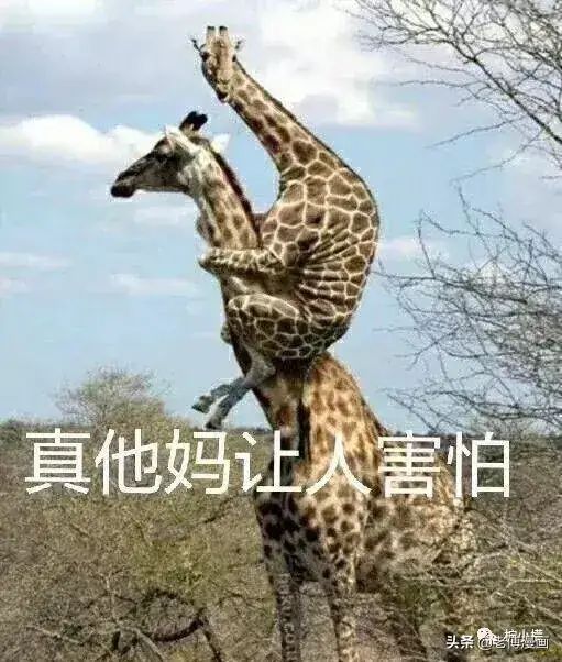 这个手环智能计划冲刺跑有bug,有两个声音我烦死了