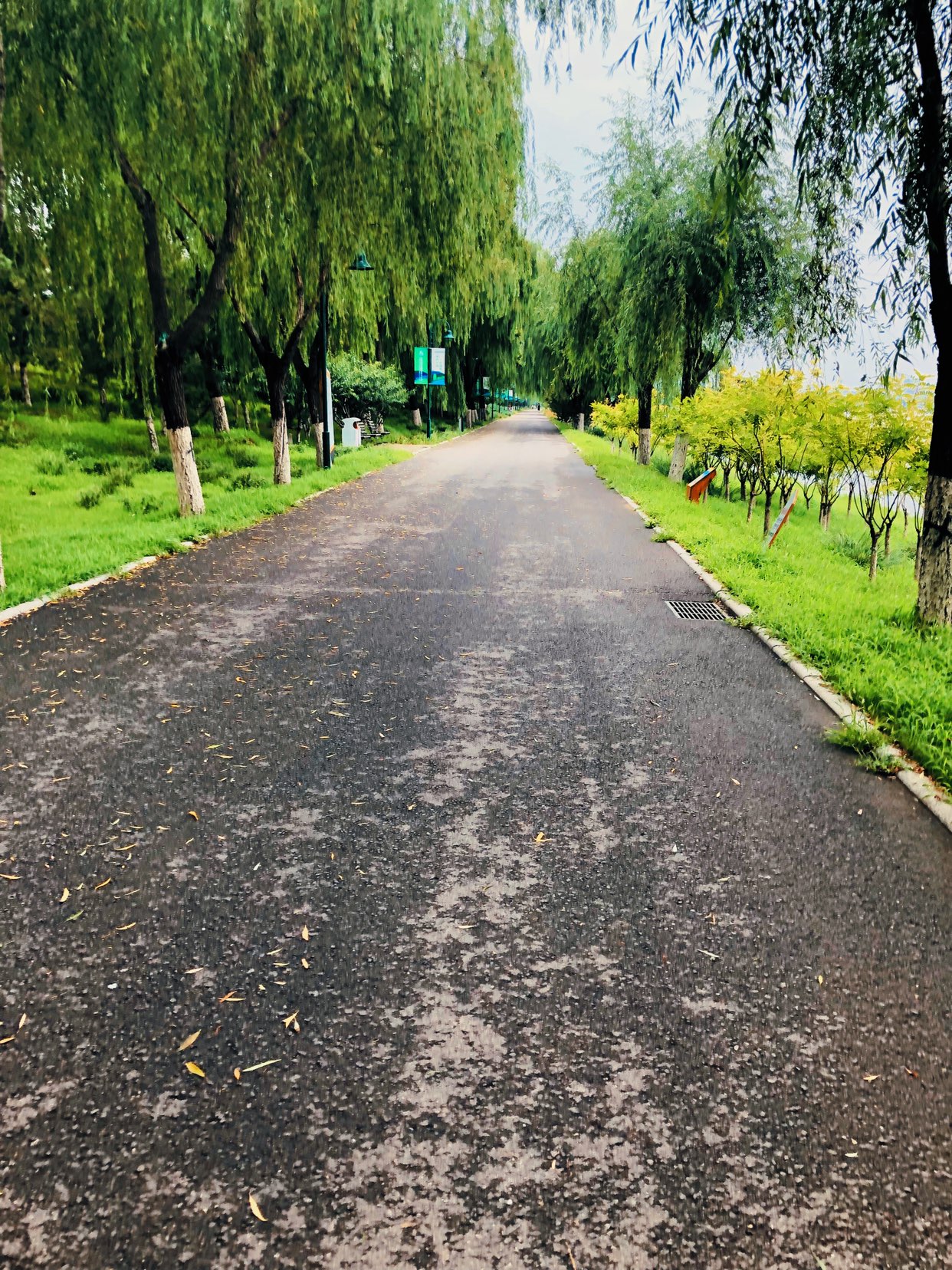 今日份跑道,本来想跑5km,跑上头了