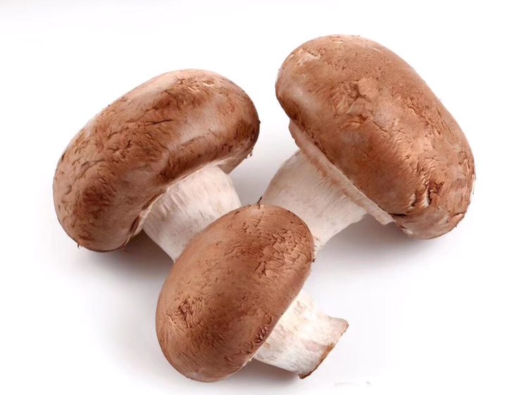 特别提醒,香菇嘌呤含量很高,尿酸高或有痛