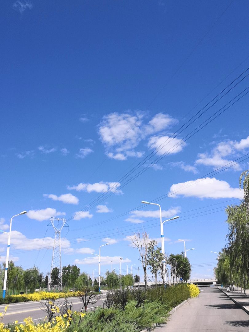 天气真好,可惜我的心情却不那么美丽