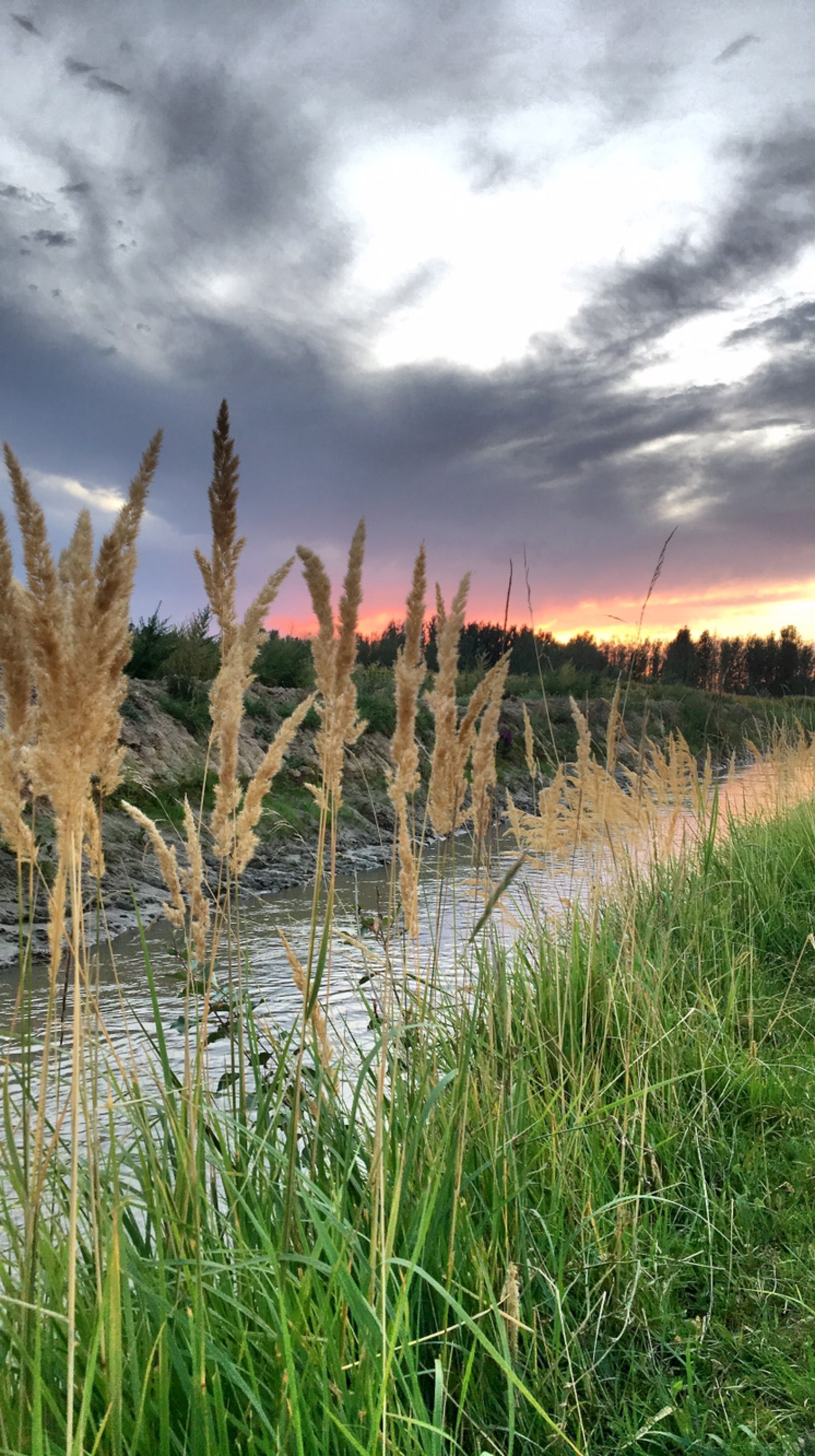 户外跑步的魅力可能就在这儿了,沿途都是风景,越跑越开心,有劲儿!