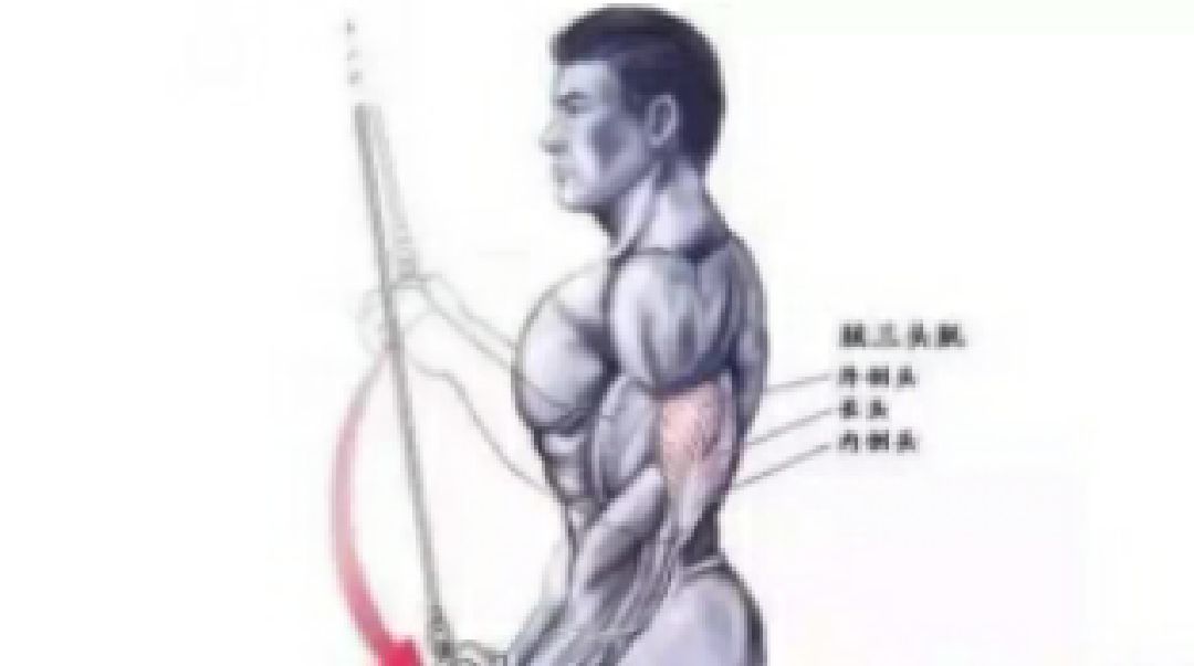 欲练胸肌 先练手臂 肌肉 有一副饱满的胸肌是每个健身男的目标 Keep