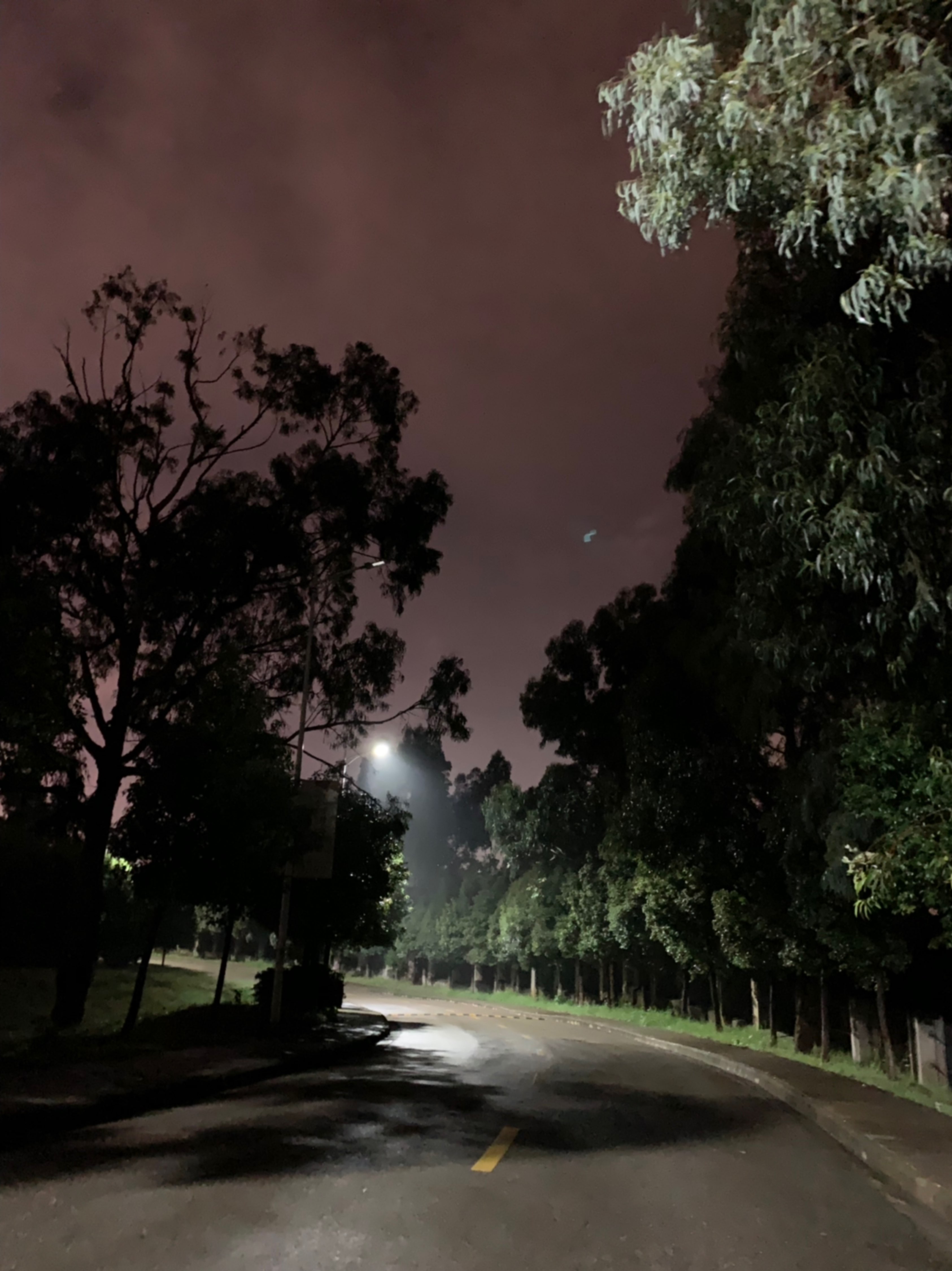 夜已深,雨漸停;人未睡,蟲在鳴.