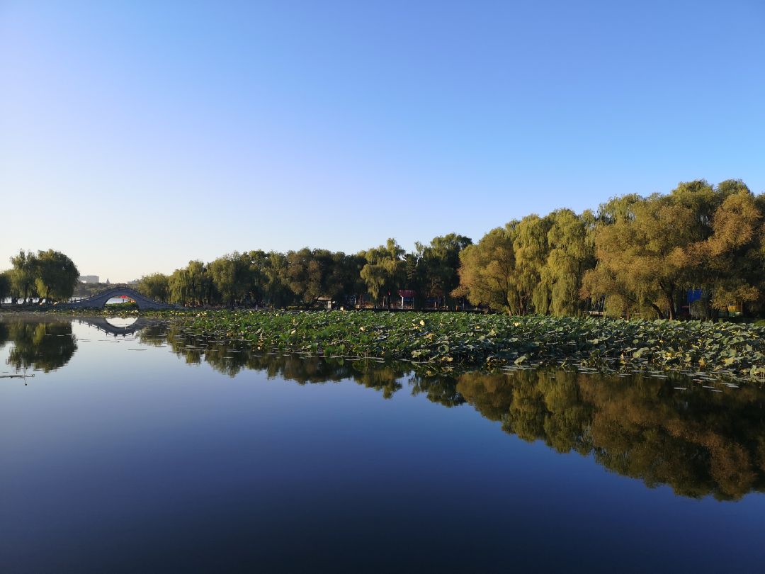 長春南湖公園晨練打卡