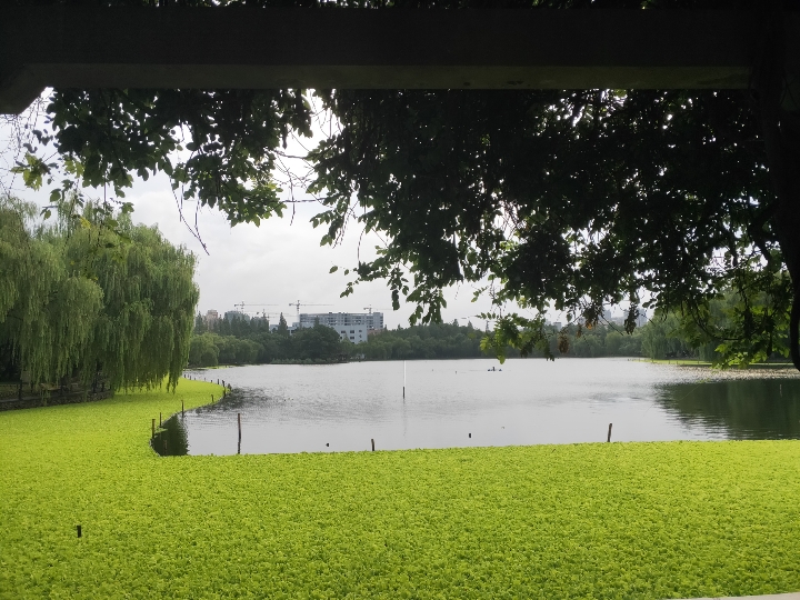 微風細雨中跑遊百年浙大,美麗的風景羈絆了奔跑的腳步,即使丟失了跑步